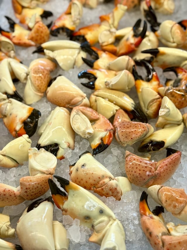 Stone Crab Claws, Large Meal.