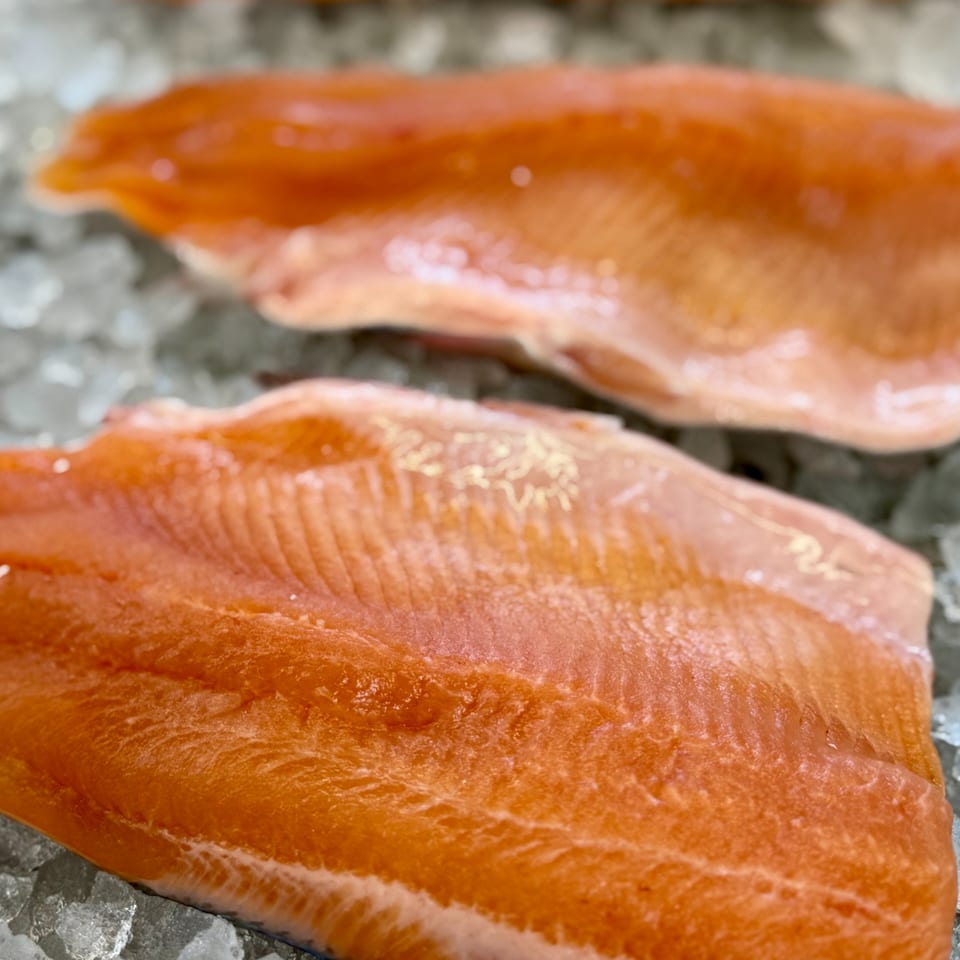 Fresh salmon fillets with vibrant orange flesh resting on a bed of crushed ice.