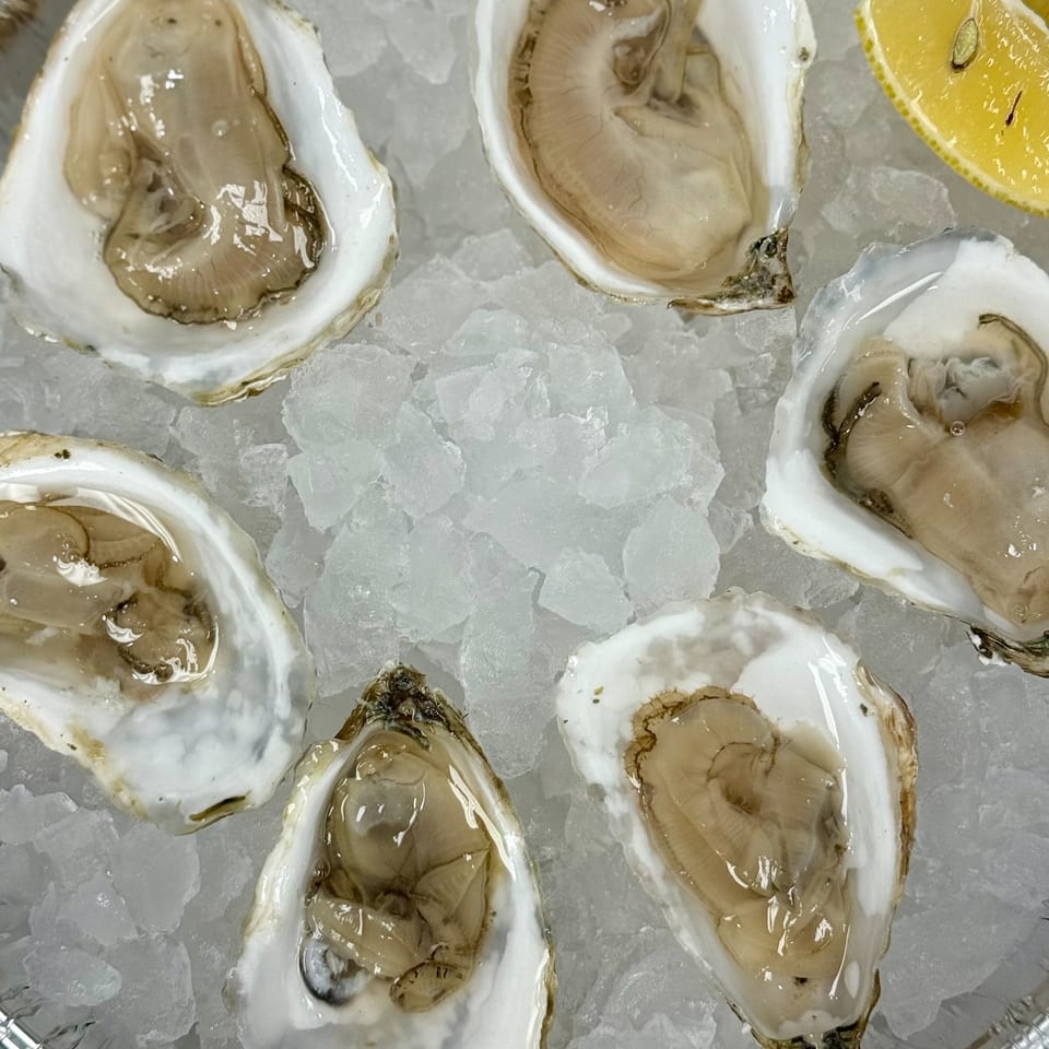 Six fresh oysters on the half shell, nestled in crushed ice with a lemon wedge.