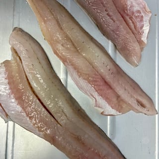 Walleye